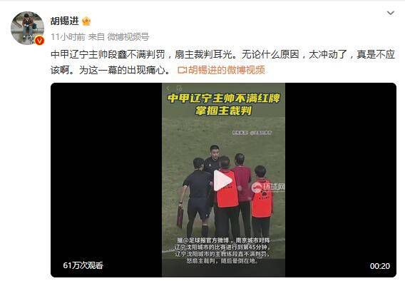 国内精品免费一区二区观看